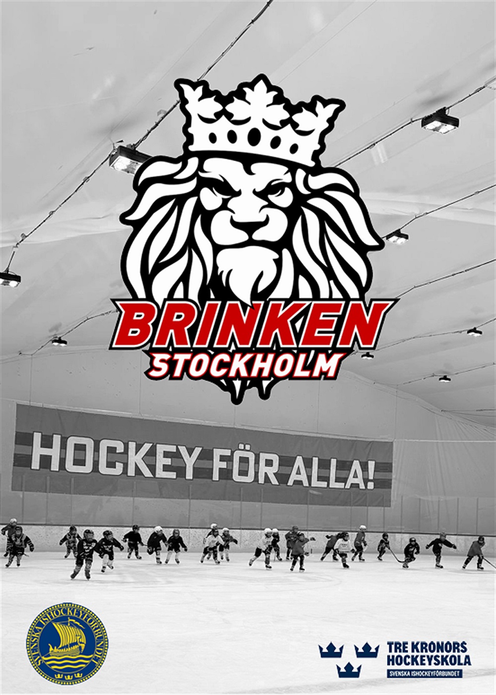 Anmälan till hockeyskolan 2026/2027